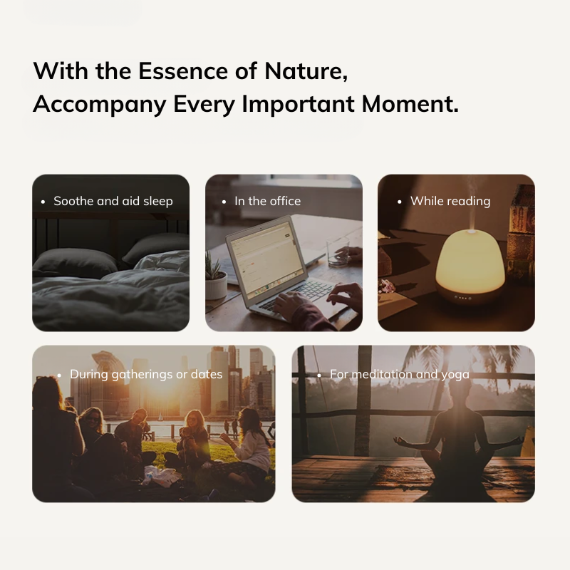 Essential Oils - Bergamot