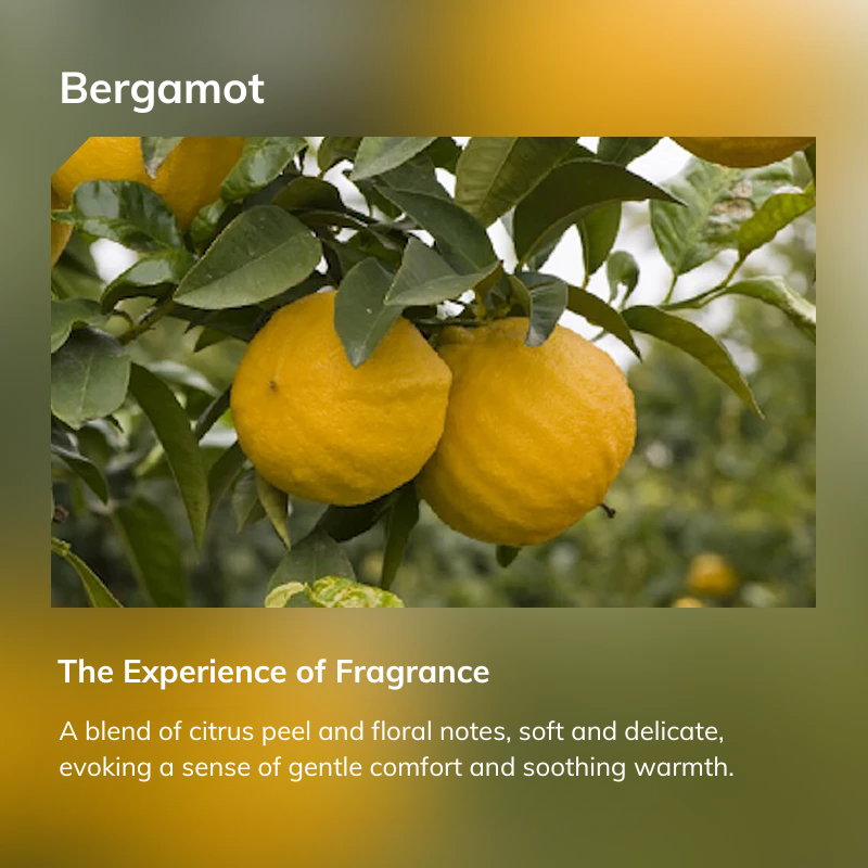 Essential Oils - Bergamot