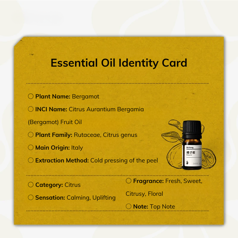 Essential Oils - Bergamot