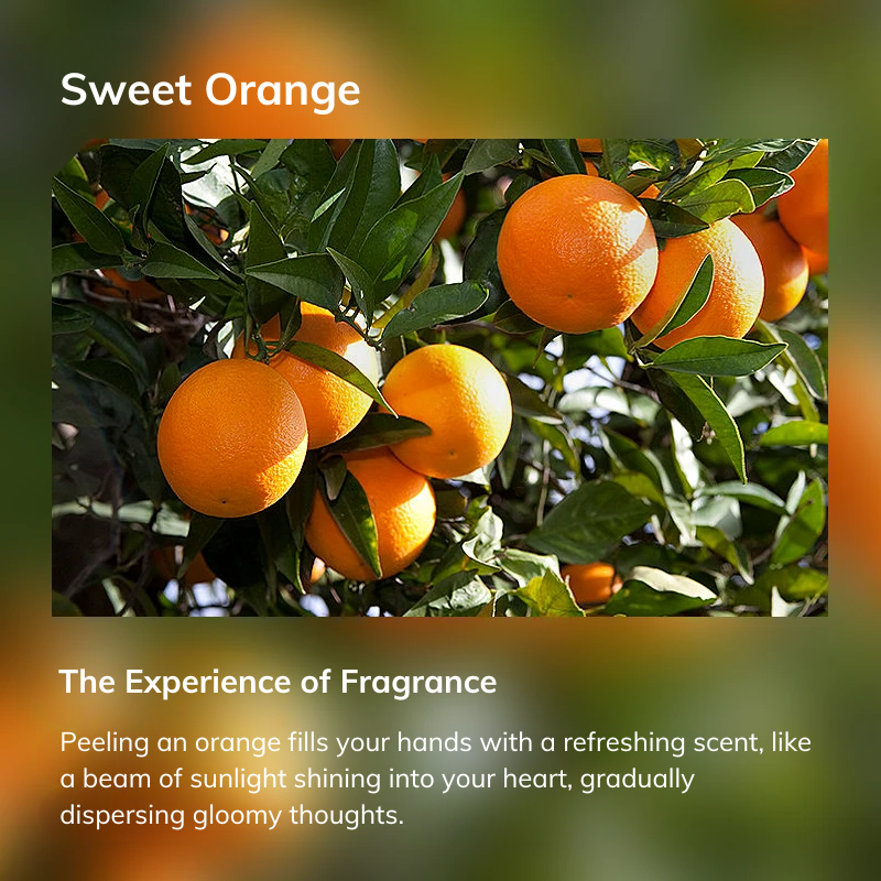 Sweet Orange