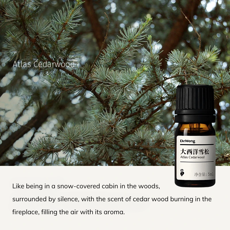 Aromatherapy Essential Oil