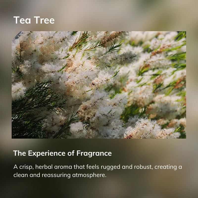 Tea Tree