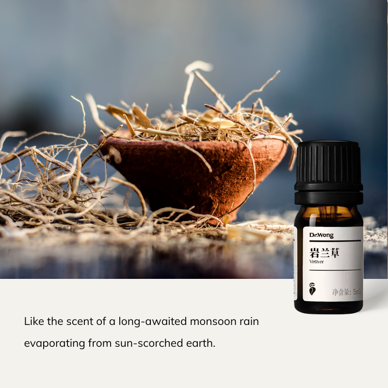 Aromatherapy Essential Oil